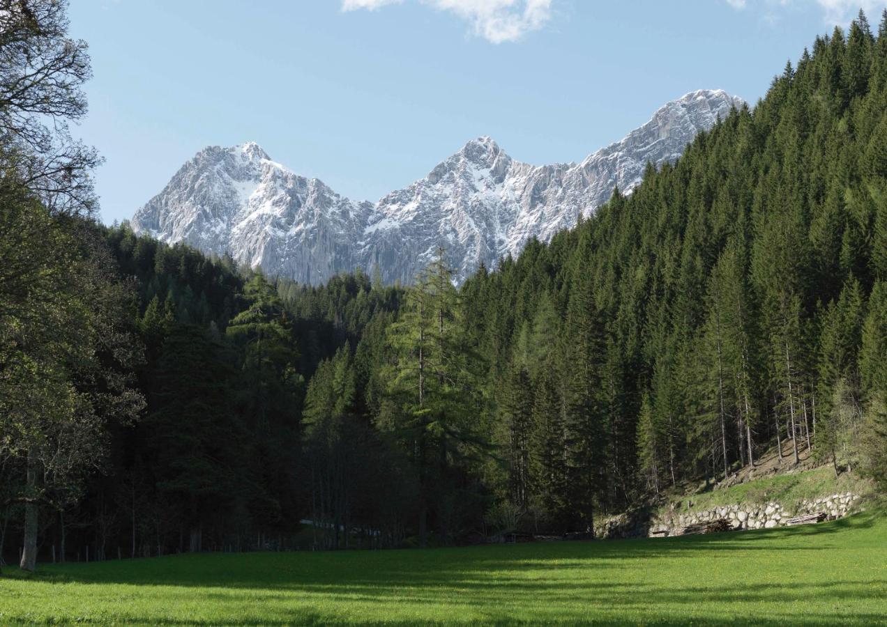 Alpenrose Boutique Chalet Gretl Ramsau am Dachstein Exterior photo