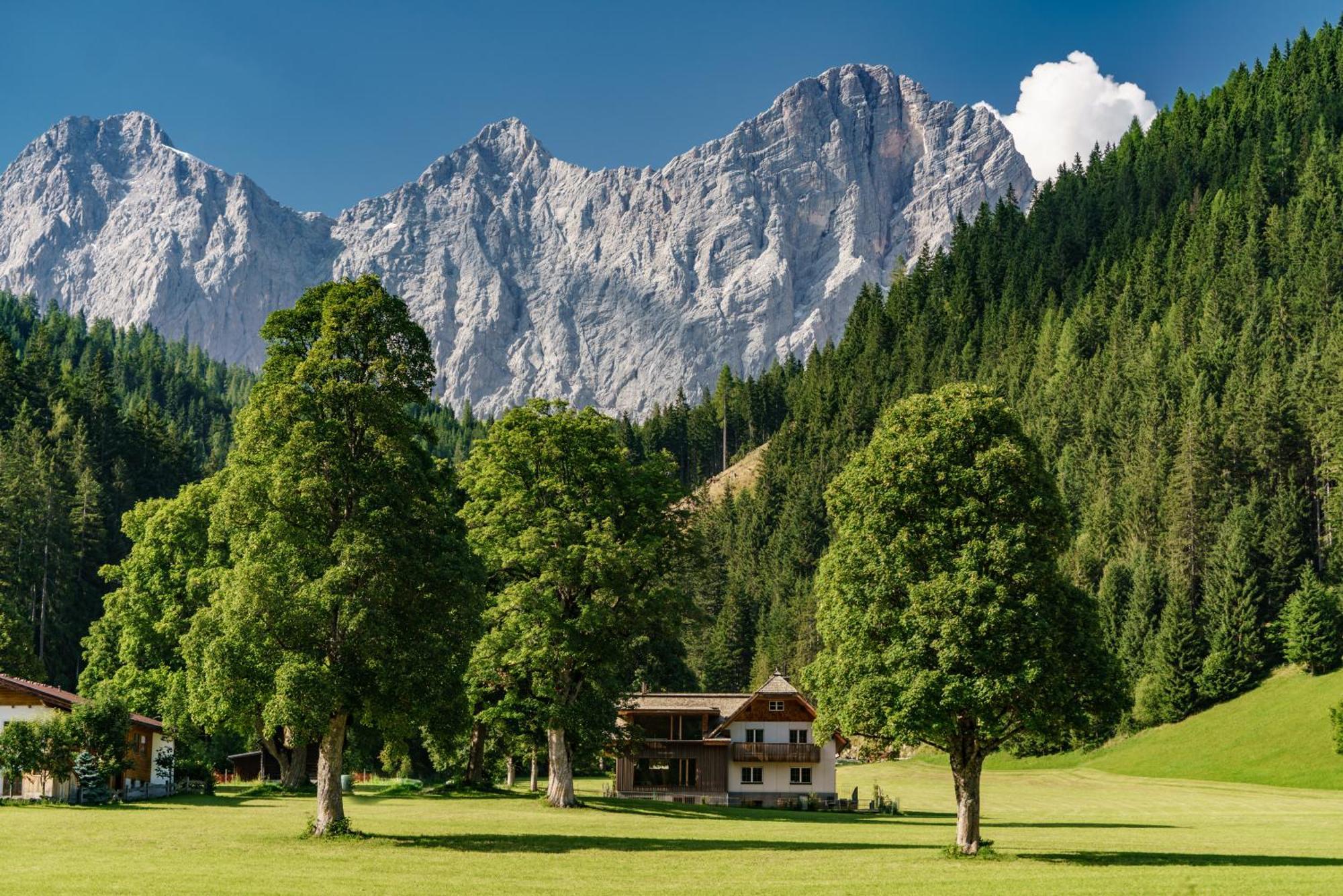 Alpenrose Boutique Chalet Gretl Ramsau am Dachstein Exterior photo